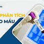 Chỉ Số Mchc Là Gì