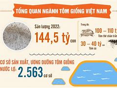 Doanh Nghiệp Sản Xuất Tôm Giống Việt Nam 2024