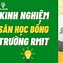 Học Bổng Rmit Bảo Nhiều Tiên 2024 Pdf Download Free Download