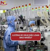 Lương Đi Xuất Khẩu Đài Loan