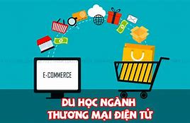 Thương Mại Điện Tử Học Xong Làm Gì