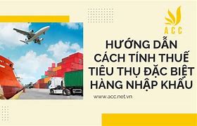 Tính Thuế Tiêu Thụ Đặc Biệt Hàng Nhập Khẩu